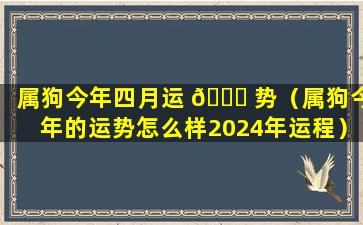 属狗今年四月运 🐎 势（属狗今年的运势怎么样2024年运程）